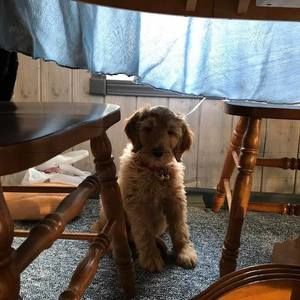 Meet your Posher, Deborah